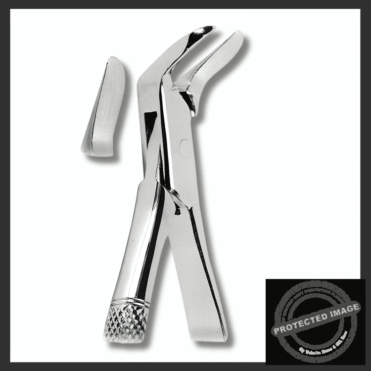 Extracting Forceps American Pattern