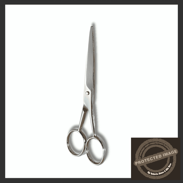 Hair scissors